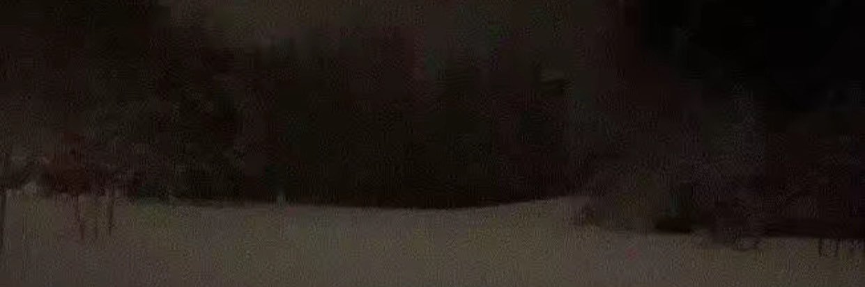 saeed banner