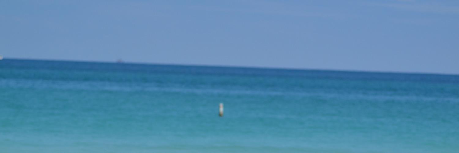 luna1726's profile banner image