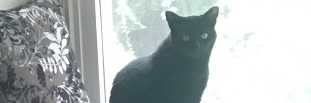 molly_bialecki's profile banner image