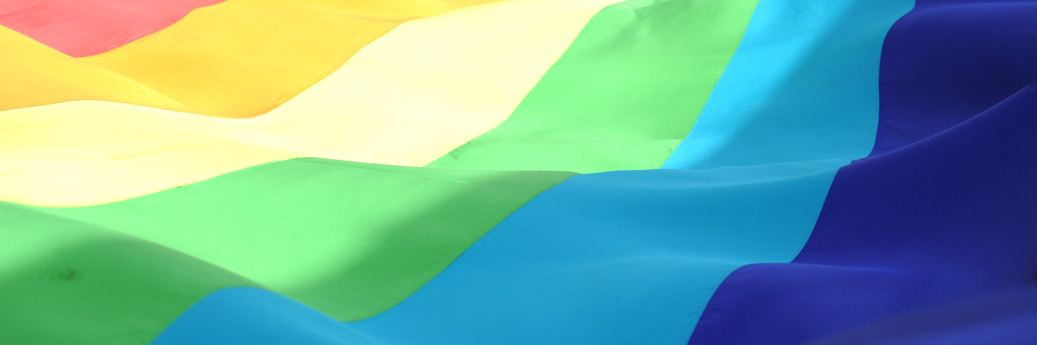 Gay Civil Rights banner