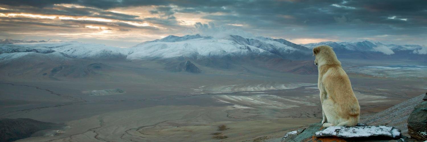 Stuart McKeown banner