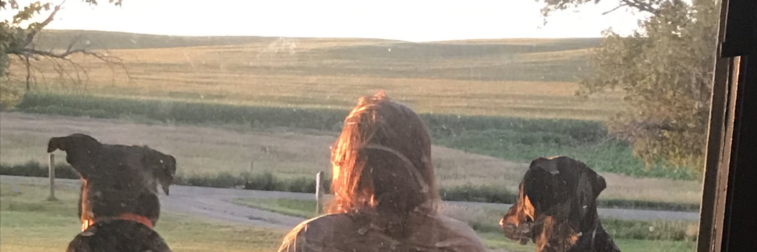 hmogck's profile banner image