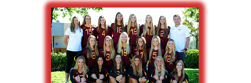 TPHS Volleyball banner