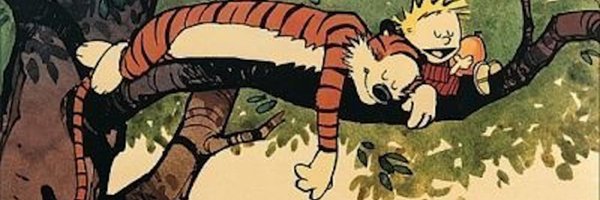 batfly Profile Banner