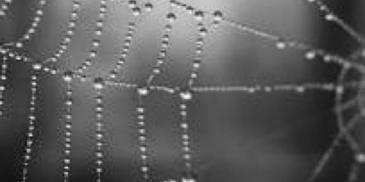 Grey9matter's profile banner image
