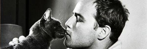 SendingOneLove's profile banner image