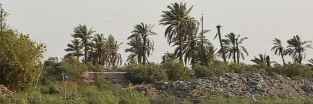 محمد ناجي الحمداني banner