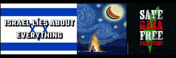 Disquieted 🇵🇸 😷 #FreePalestine #MMT #UBI banner