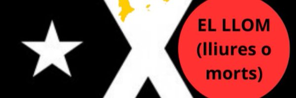 xarxaelLLOM Profile Banner