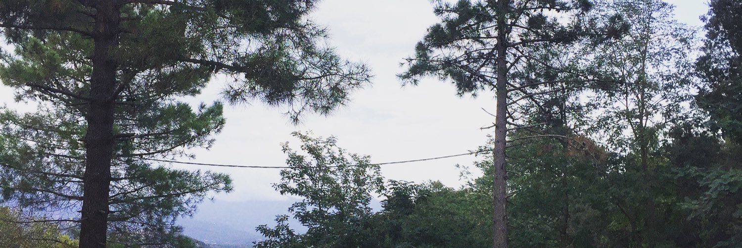 PvElsa's profile banner image