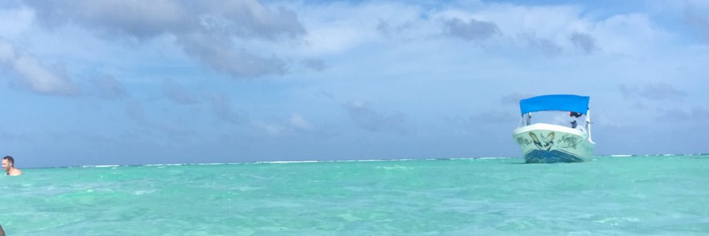 rachthomX's profile banner image