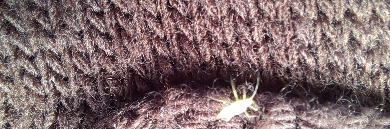 👁ꕷ𝖙ߥ𝖙¡ᑢߥဌ𝖊👁 banner