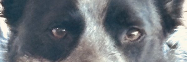 Moods1915 Profile Banner