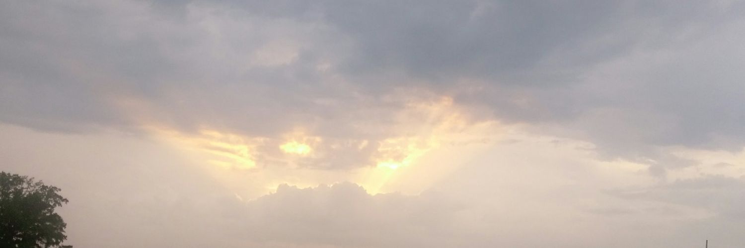 ms_la's profile banner image