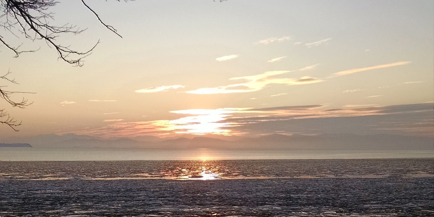 Johnnyknowzbest's profile banner image