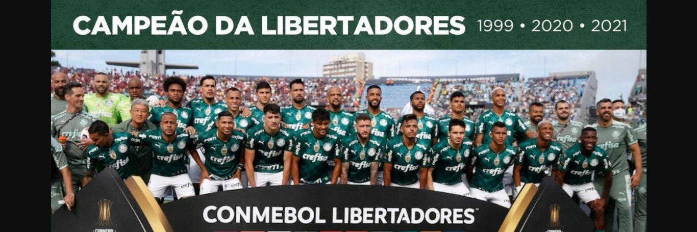 12xⓟ 🐷🇧🇷 banner