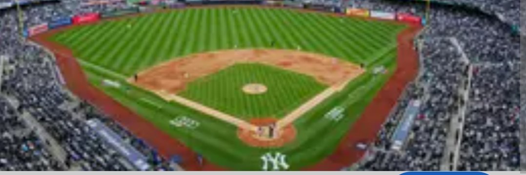 Yankees 2 Cents's banner