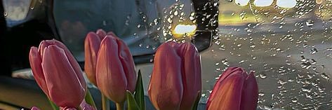 nao banner