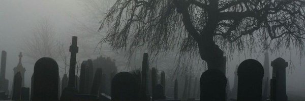 sedefuludagg Profile Banner