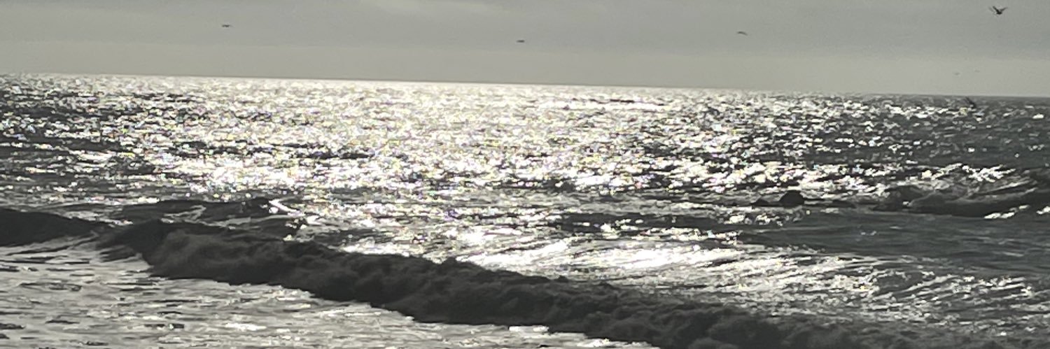 Tine banner