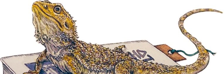 ichi2330's profile banner image