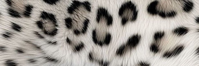 uzile0pard's profile banner image