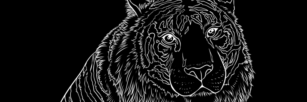 AndyIrawan's profile banner image