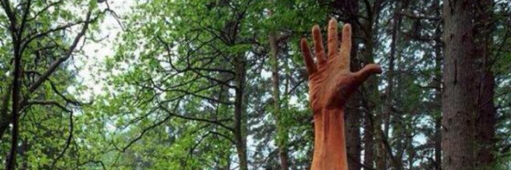 tin_flk's profile banner image