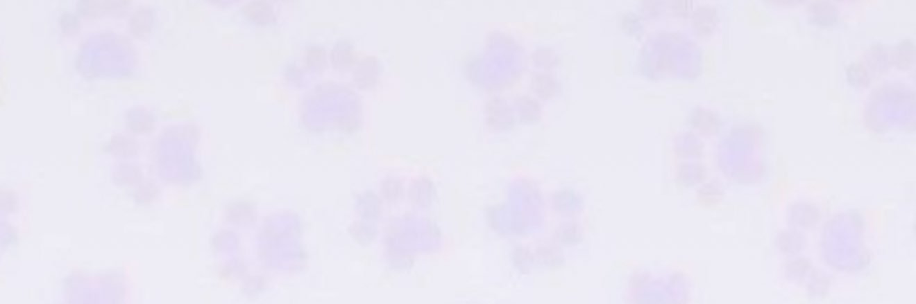 dashspo's profile banner image