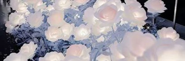 Anyu_rii Profile Banner