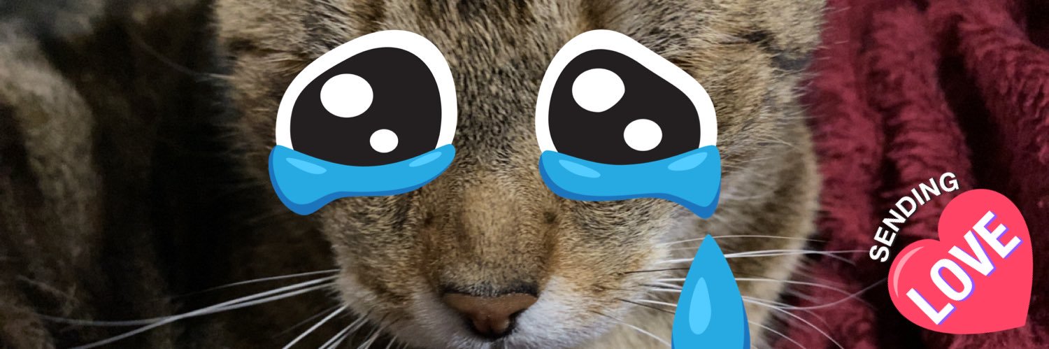 Fella banner