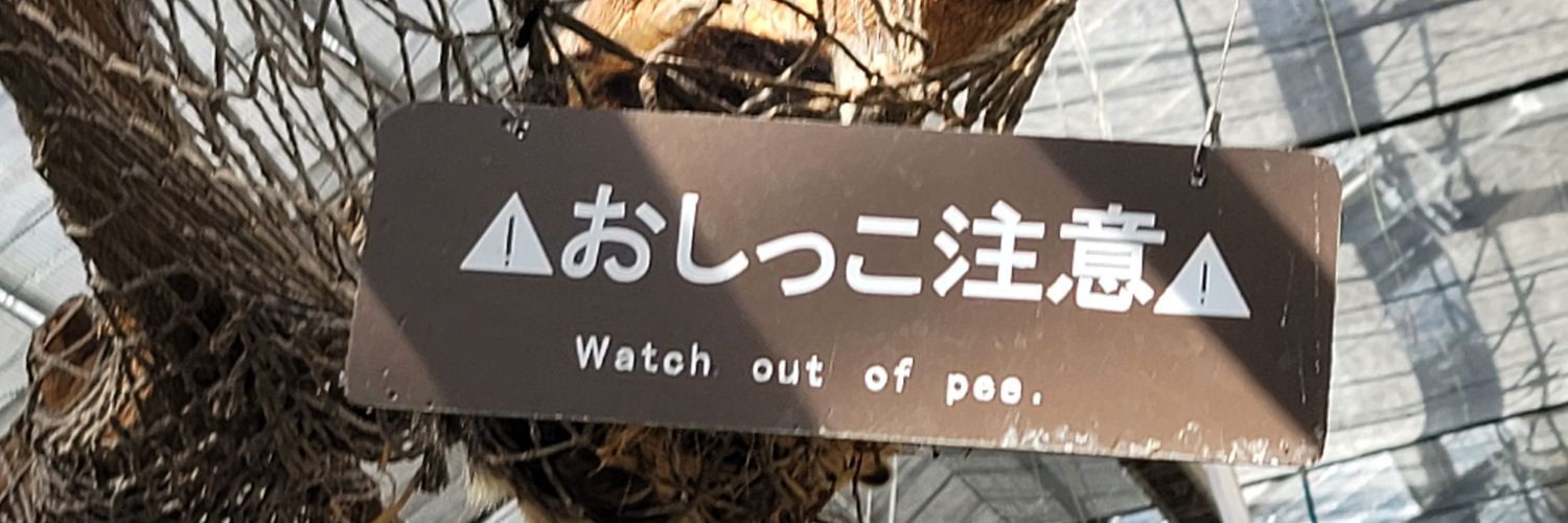 てみ3@VRC垢 banner