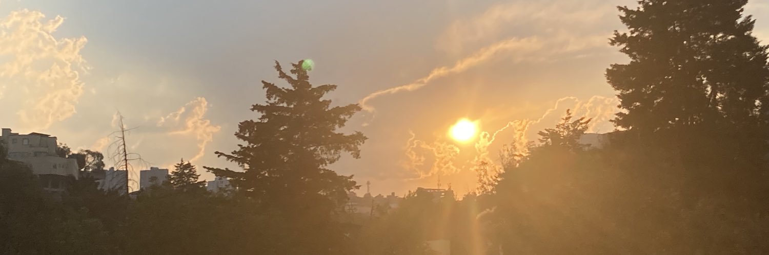 paulinack's profile banner image