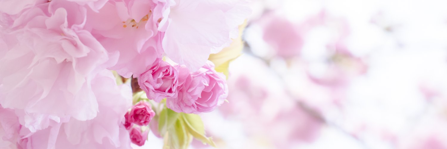 Beautiful Moments's banner