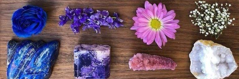 M_FlorHernandez's profile banner image