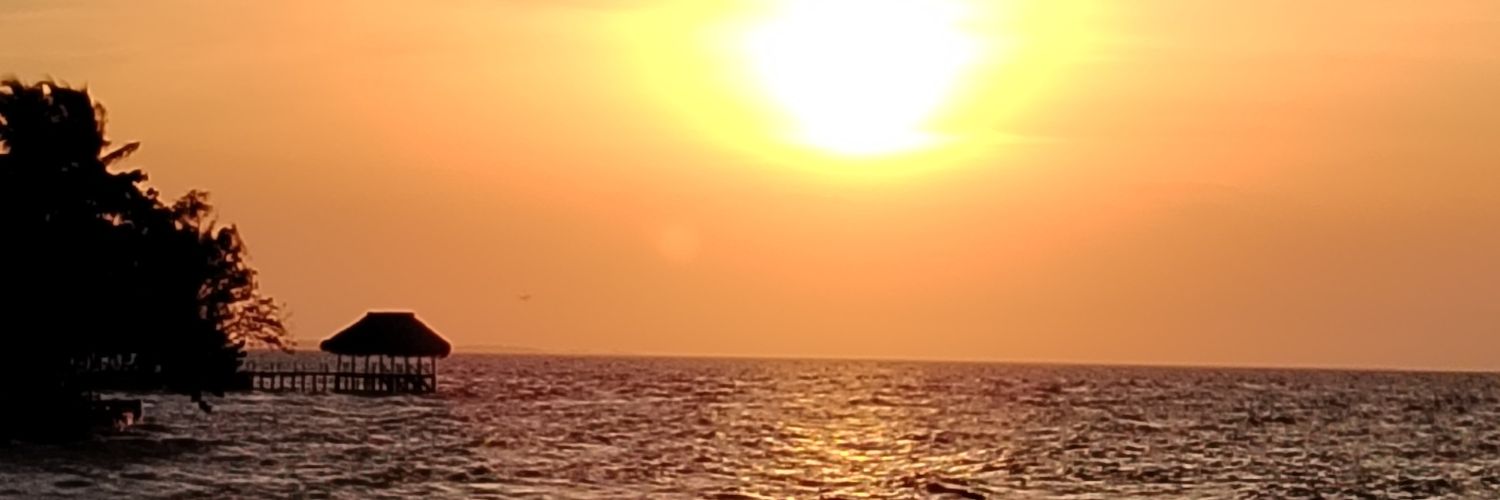 ICJQ1967's profile banner image