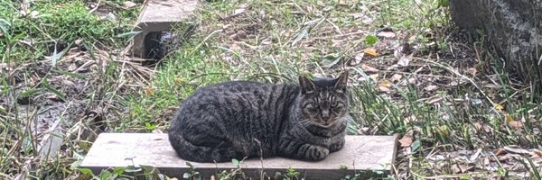 MiyuYamada0514 Profile Banner