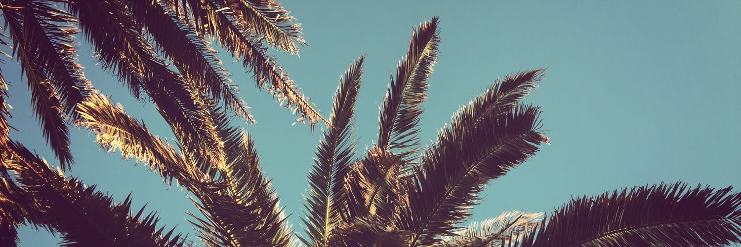 Carla Rodríguez banner