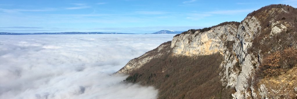 ncerisier's profile banner image