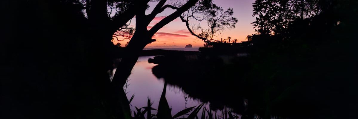 Bruce_Adamson's profile banner image