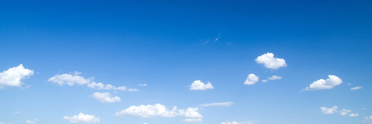 Charlotte Taittinger banner