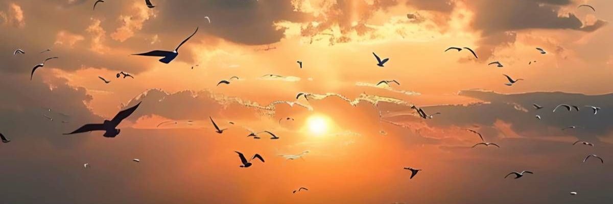 Cậu Út 🔞 banner