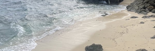 toragen_opapi Profile Banner