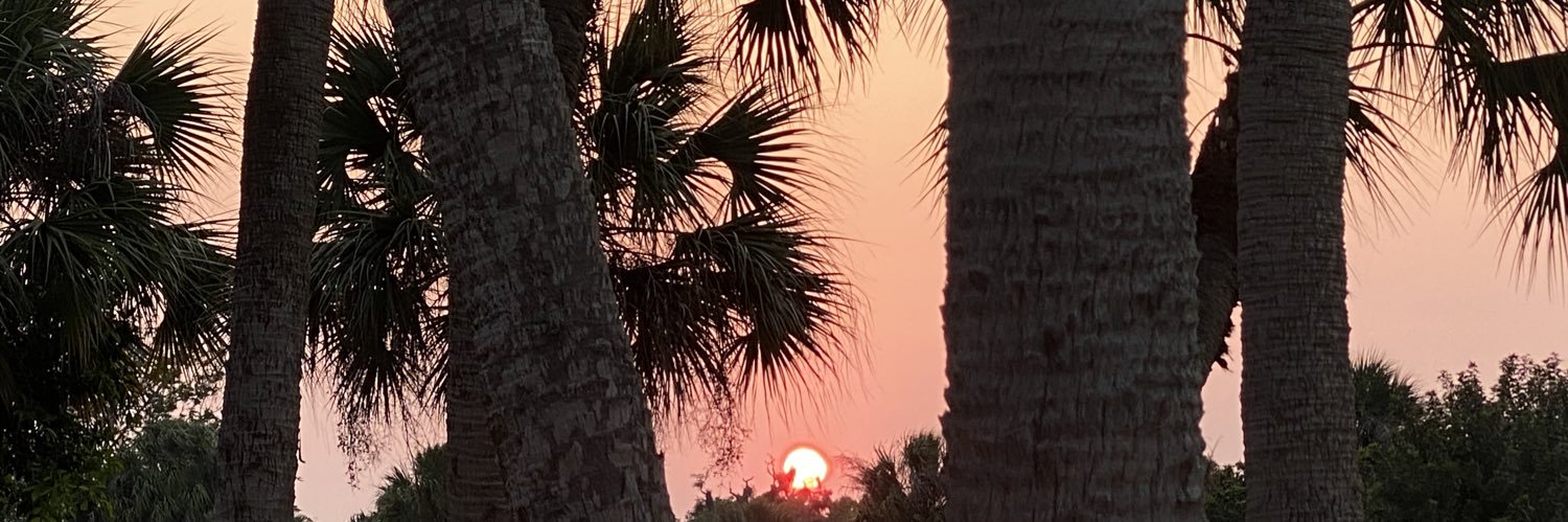 heathermflaws's profile banner image