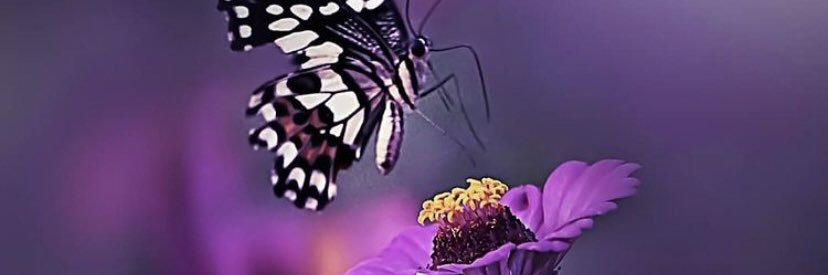 jsrivasj's profile banner image