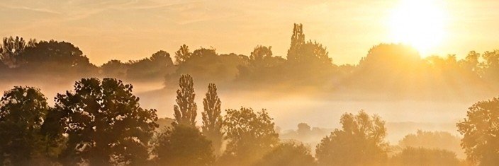 williamgrantuk's profile banner image