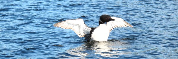 schaefercpa Profile Banner