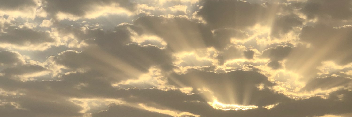 Phayyaa's profile banner image