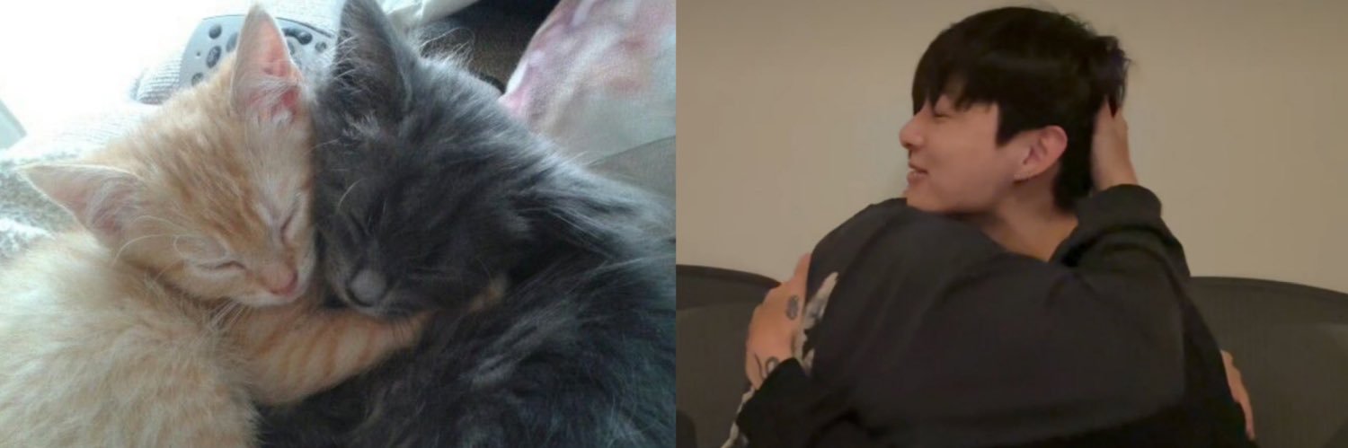lakeoftearsz's profile banner image