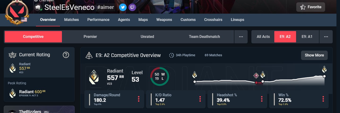 SteelVeneco banner